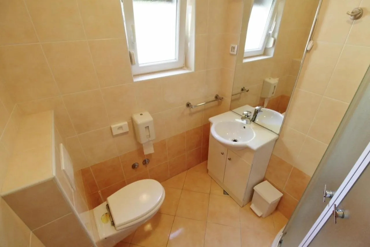 Guest house Villa Lion Zambratija Croatia
